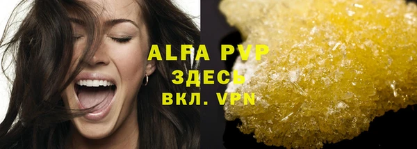 индика Белокуриха
