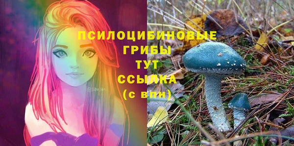 индика Белокуриха