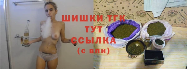 индика Белокуриха