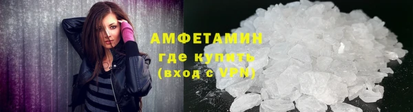 индика Белокуриха