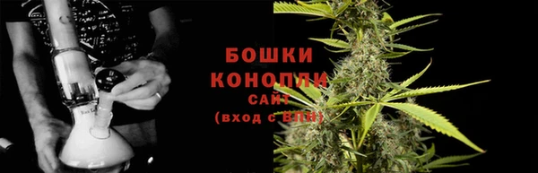 индика Белокуриха