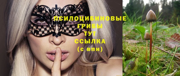 индика Белокуриха