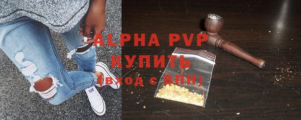 индика Белокуриха